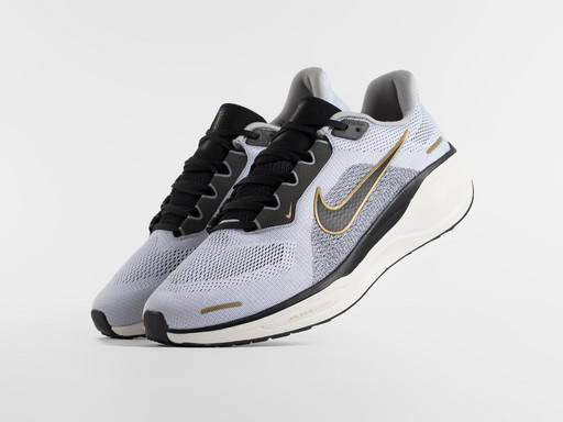 Кроссовки Nike Air Zoom Pegasus 41 (46950)