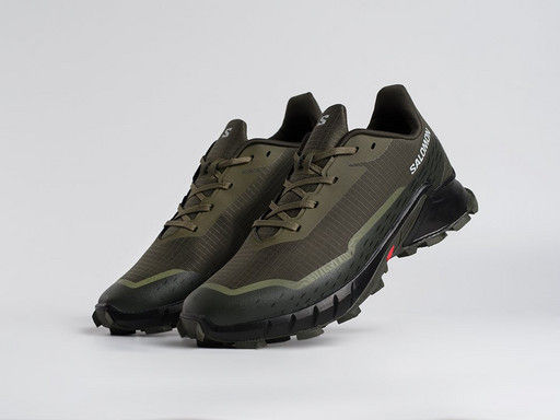 Кроссовки Salomon Alphacross 5 GTX (45207)
