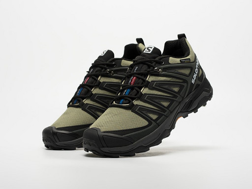Кроссовки Salomon X Ultra Pioneer (43481)
