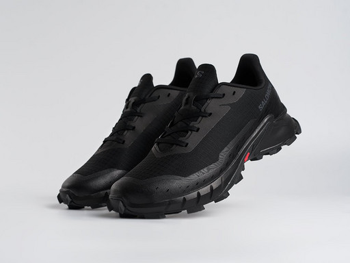 Кроссовки Salomon Alphacross 5 GTX (45203)