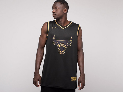 Джерси Nike Chicago Bulls (24687)