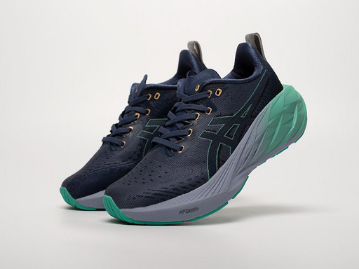 Кроссовки Asics Novablast 4 (42404) Кроссовки Asics Novablast 4 (42404)