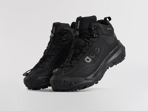 Зимние кроссовки Nike ACG Mountain Fly Mid (45986)