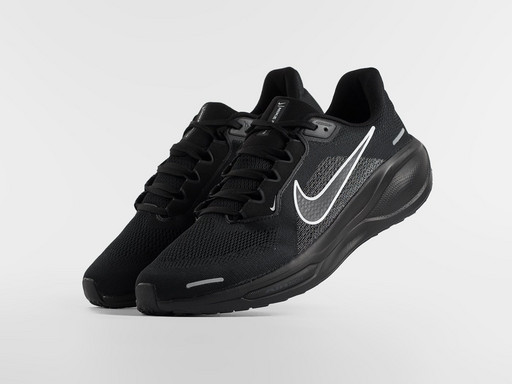 Кроссовки Nike Air Zoom Pegasus 41 (46951)