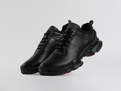 Кроссовки Ecco Biom (18598)