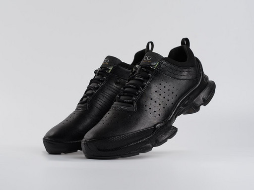 Кроссовки Ecco Biom (44506)