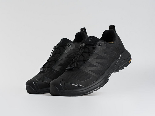 Кроссовки Salomon X ADVENTURE GTX (45435)