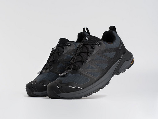 Кроссовки Salomon X ADVENTURE GTX (45441)