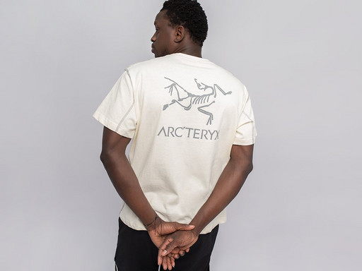 Футболка Arcteryx (32475)