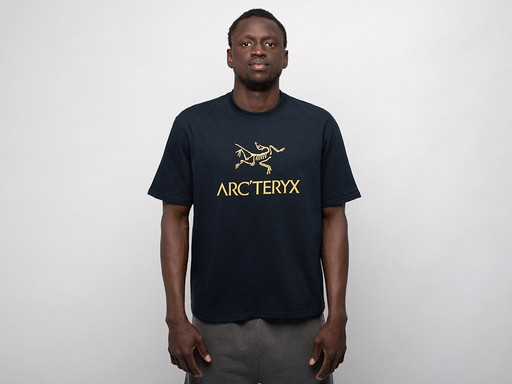 Футболка Arcteryx (42846)