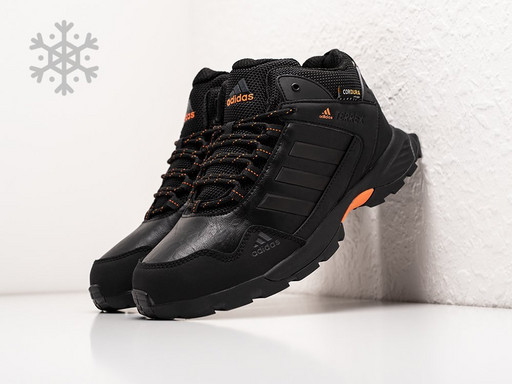 Зимние кроссовки Adidas Terrex (38623)