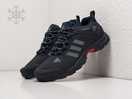 Кроссовки Adidas Terrex AX2 (26404)