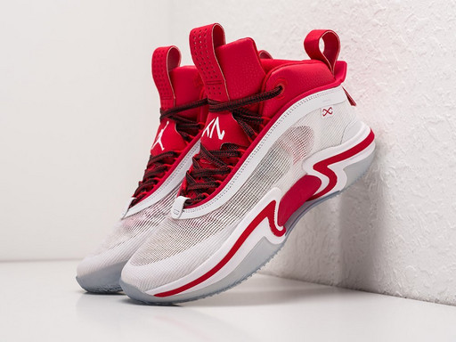Кроссовки Nike Air Jordan XXXVI (28457)