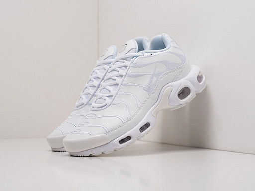 Кроссовки Nike Air Max Plus (24493)