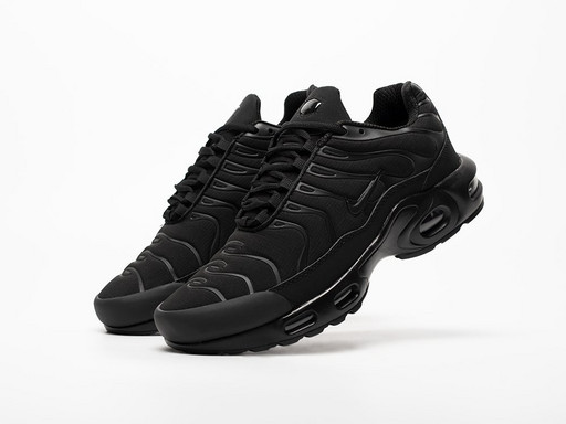 Кроссовки Nike Air Max Plus TN (43416)