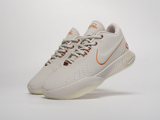 Кроссовки Nike Lebron XXI (40408)