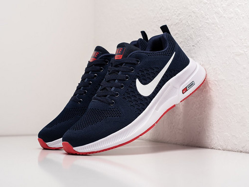 Кроссовки Nike Pegasus (36677)