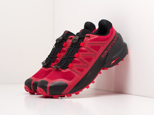 Кроссовки Salomon SPEEDCROSS 5 GTX (19905) Кроссовки Salomon SPEEDCROSS 5 GTX (19905)
