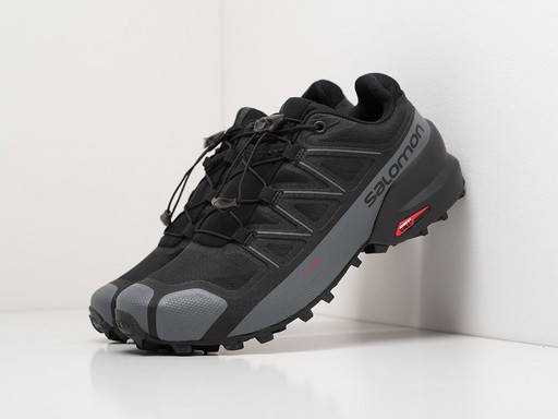 Кроссовки Salomon SPEEDCROSS 5 GTX (20564)