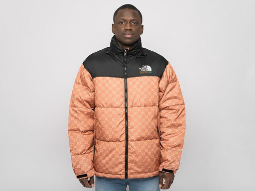 Куртка The North Face x Gucci (41525)