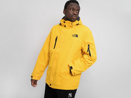 Куртка зимняя The North Face (32402)