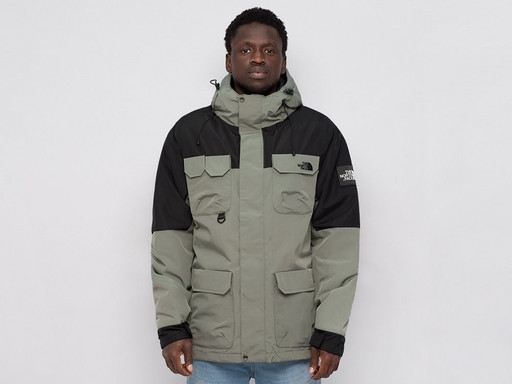 Куртка зимняя The North Face (38969)