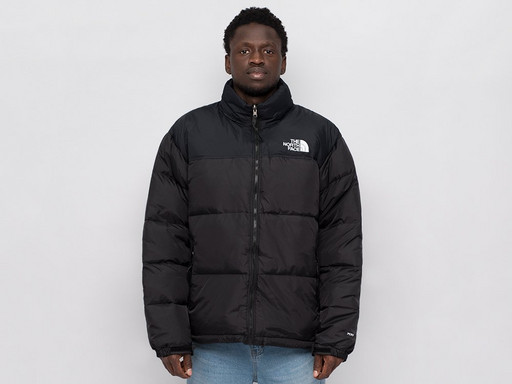 Куртка зимняя The North Face (38972)