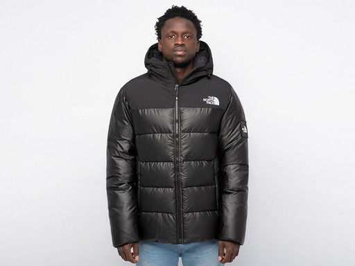Куртка зимняя The North Face (39391)