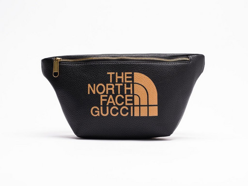 Поясная сумка The North Face x Gucci (25994)