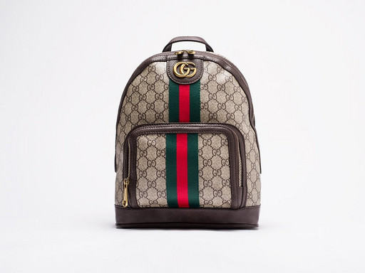 Рюкзак Gucci (25989)