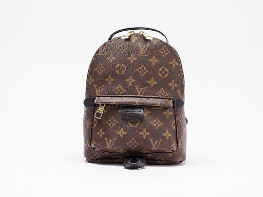 Рюкзак Louis Vuitton (25988)