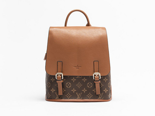 Рюкзак Louis Vuitton (29023)