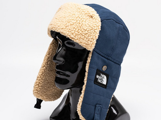 Шапка The North Face (39797)