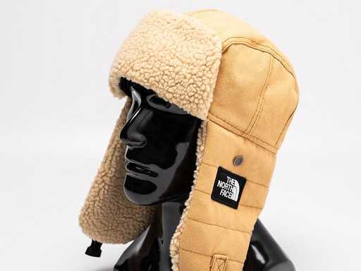 Шапка The North Face (39798)