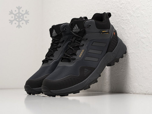 Зимние Ботинки Adidas Terrex Swift R3 (39004)