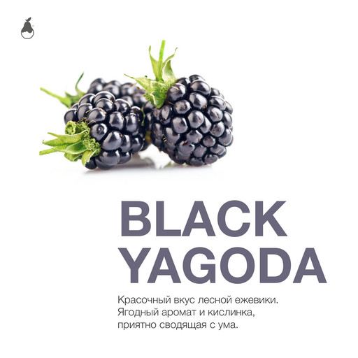 MP Tobacco 50 Black Yagoda (Ежевика) DSCORP