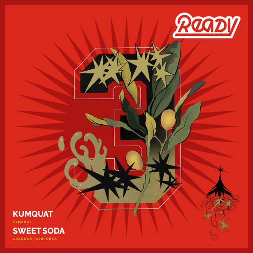 Ready 30 гр №03 Kumquat, Sweet Soda