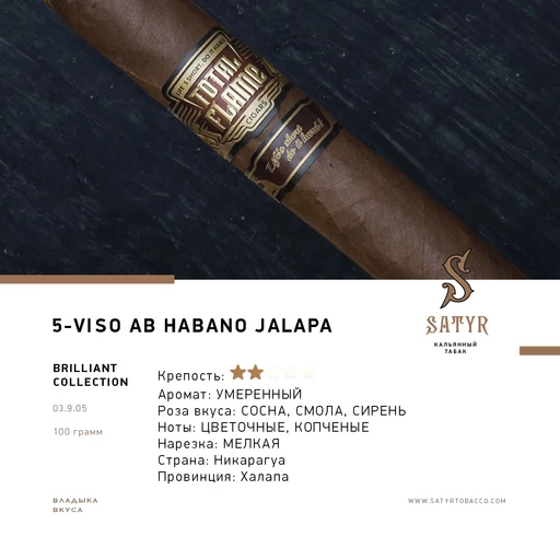 (M) Satyr 100 BC N05 Viso Ab Habano Jalapa