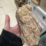 Драконья яшма