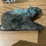 Хамелеон красивый