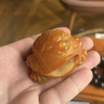 Жаба с жеодой