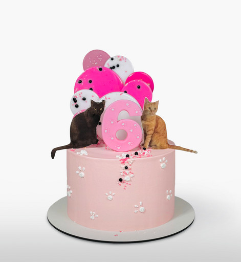 Торт "Кошачий праздник"