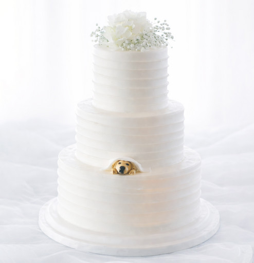 Свадебный торт "Тайный гость"