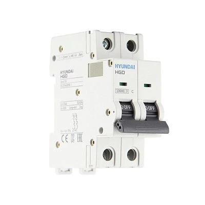 Автоматический выключатель HGD100S 2PMСS0000C C 2P 80А 10kA (STANDARD)