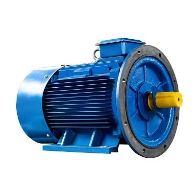 Электродвигатель 5АИ 315 S2 160/3000 IM2001