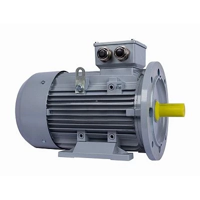 Электродвигатель ESQ PR 100 LA2-SDN-Б1-S12-IE2 3/3000 IMB35
