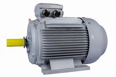 Электродвигатель ESQ PR 280 S4-SDN-Б1-S12-IE2 75/1500 IMB3