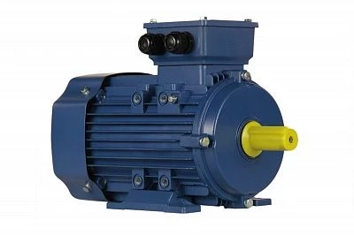 Электродвигатель 5АИ 80 В8 0,55/750 IM1081