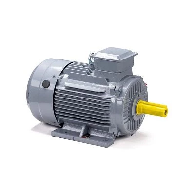 Электродвигатель ESQ PR 160 S4 GST-Б1-S12-IE2 15/1500 IM1001