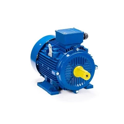 Электродвигатель ESQ 400 L4-SDN- 600/1500 IMB3